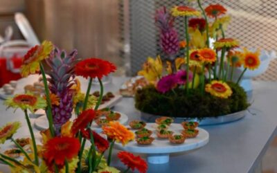 Curated Menu για Events